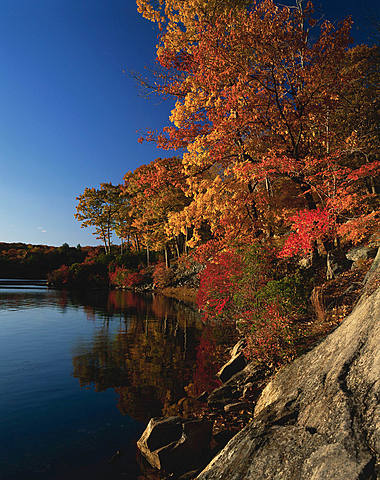 New York https://www.history.com/topics/us-states/new-york