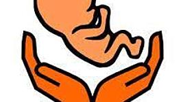 Timeline: la historia de mi vida