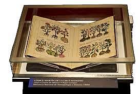 Se publica El herbario de la cruz