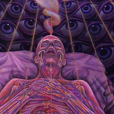 Timeline: Mi línea de vida