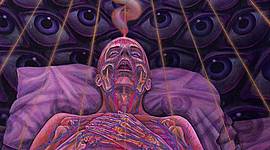 Timeline: Mi línea de vida