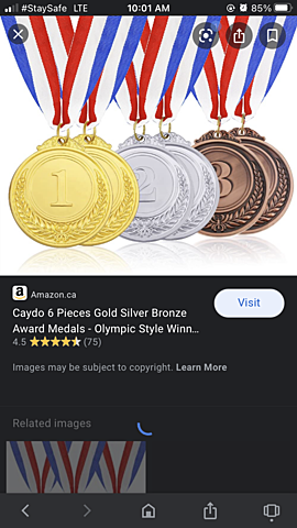 The first Olympic medals for US volleyball