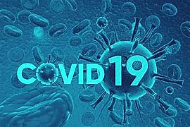 Covid-19 global pandemy