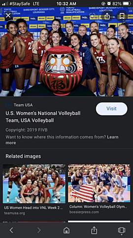 Professional USA volleyball was formed