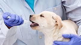 Timeline: ANTECEDENTES HISTÓRICOS DE LA FARMACOLOGÍA VETERINARIA