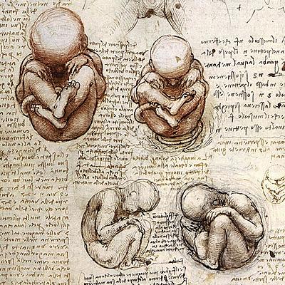 Timeline: Parteaguas para la consolidación de la Biología del Desarrollo.