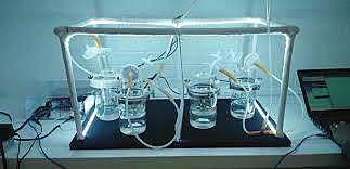 Diseño y Automatización de un Nuevo Biorreactor para Sistemas de Inmersión Temporal