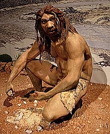 Homo Heidelbergensis