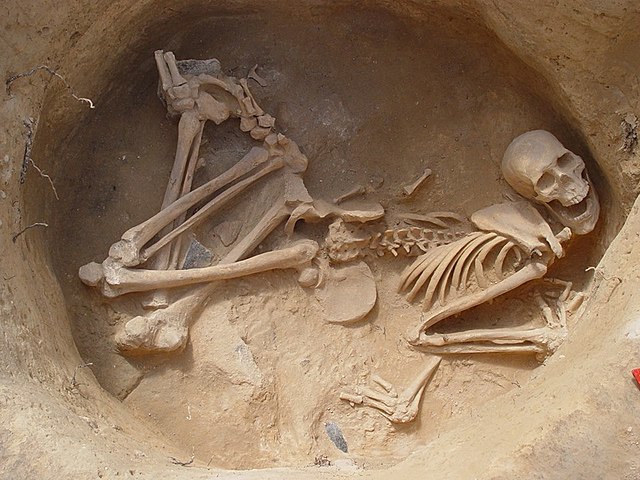 Cultura de los sepulcros de fosa