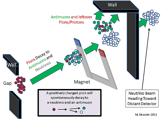 DESCOBRIMENT DEL NEUTRÍ