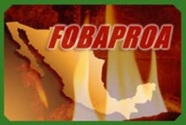 creacion del Fondo de Proteccion al Ahorro (Fobaproa)