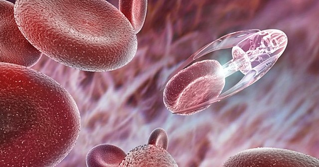 Tratamiento Contra el Cáncer por Nanomedicina Catalítica