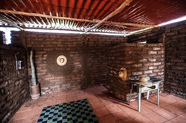 Ladrillos de Sargazo