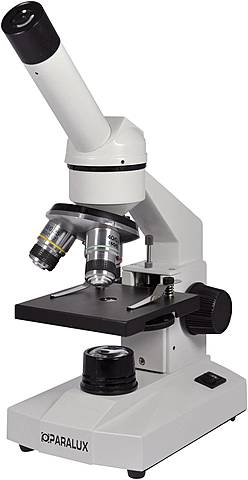 Invention du microscope optique