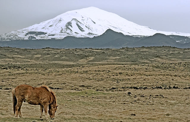 ERUPCION DEL HEKLA