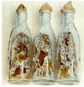 Botellas de vidrio con fermentación de superficie