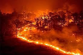 INCENDIOS FORESTALES EN CALIFORNIA