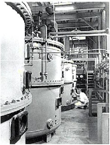 Técnica de fermentación profunda