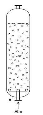 Biorreactor en columna