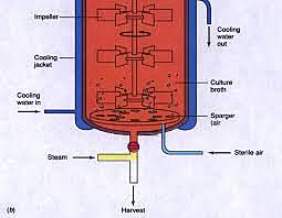 Biorreactor con agitación para células animales