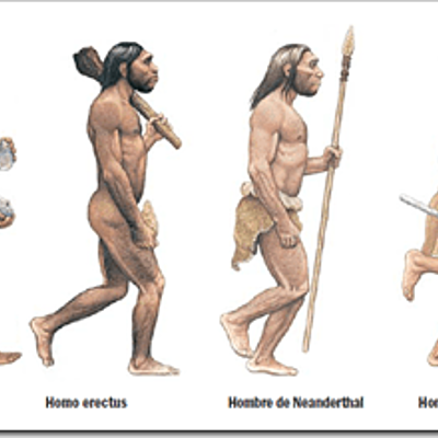 Timeline: Principios de la Humanidad