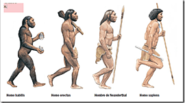 Timeline: Principios de la Humanidad