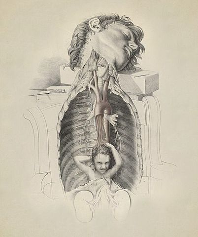 materia de paidología