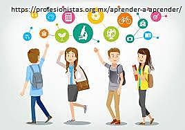 Lineamientos educativos.