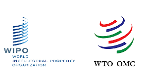 Se modifican las normas de la OMC relativas a la propiedad intelectual a fin de facilitar el acceso de los países pobres a medicamentos asequibles