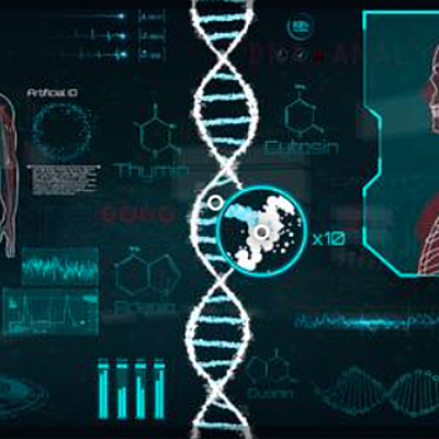 Timeline: Nueva Especie
