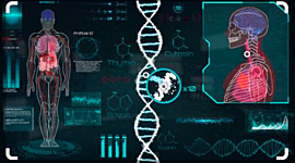 Timeline: Nueva Especie