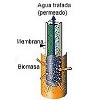Biorreactor de membrana