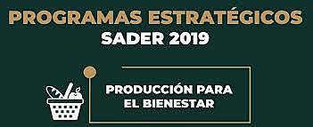 se creó el programa Producción para el bienestar