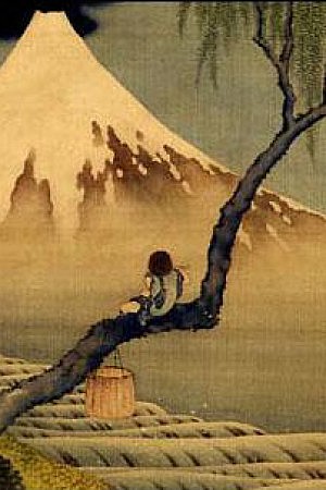 The History of the Haiku