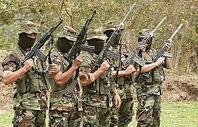 APARICIÓN DE LAS FARC Y EL ELN
