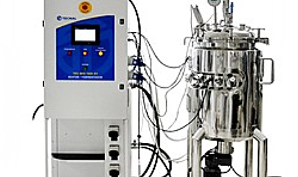 Primer fermentor piloto