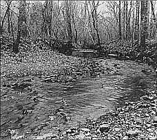 North Carolina Grants Gold Mining Charter