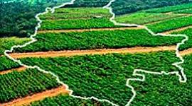 Timeline: MECANISMOS ALTERNATIVOS DE RESOLUCIÓN DE CONFLICTOS.