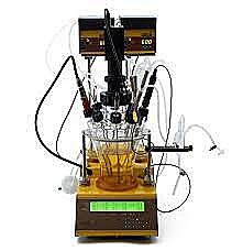 Primer biorreactor con agitadores