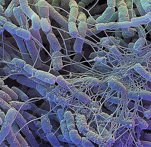 Produccion de N-bromosuccinimida