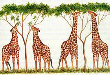 Teoría de la evolución biológica