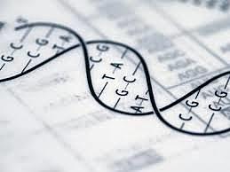 Estructura de doble hélice del ADN