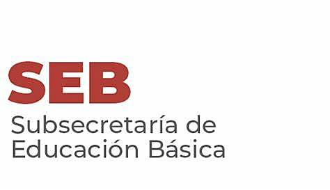 La Subsecretaría de Educación Básica y Normal adquirió la facultad de normar los diferentes niveles educativos.