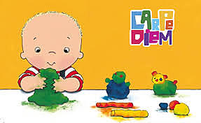 Teoría de la modificabilidad estructural cognitiva