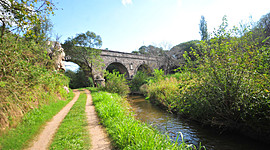 Timeline: Principales acontecimientos en la legislación patrimonial