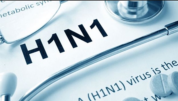 VIRUS H1N1