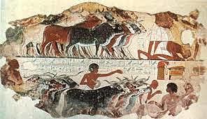 Surgimiento de la ganadería y la agricultura