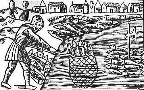 Næringsveier - KAPITTEL&nbsp;7