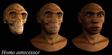 Homo Antecessor