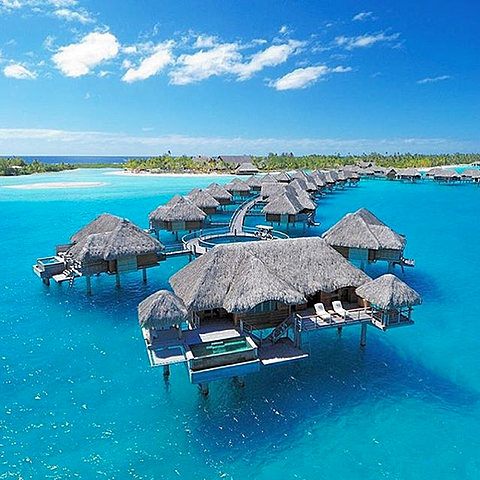Bora Bora OR Virgin Islands
